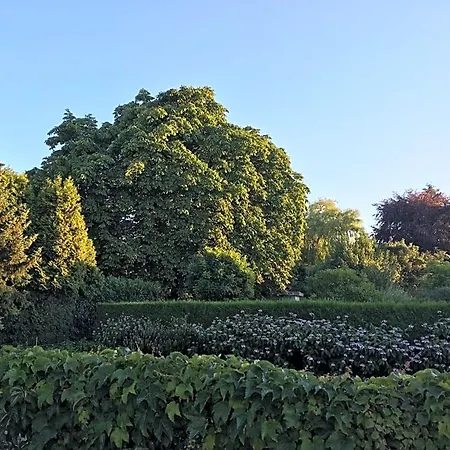 ベッド・アンド・ブレックファスト La Nuova Casa Del Campo