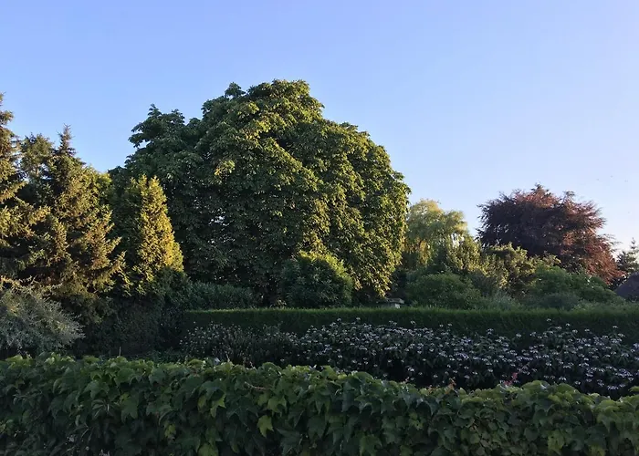Frühstückspension La Nuova Casa Del Campo *