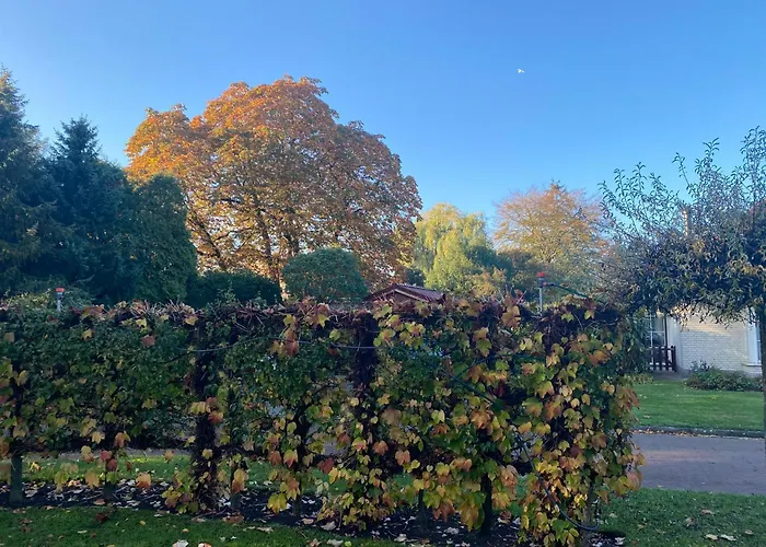 La Nuova Casa Del Campo *