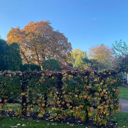 La Nuova Casa Del Campo *